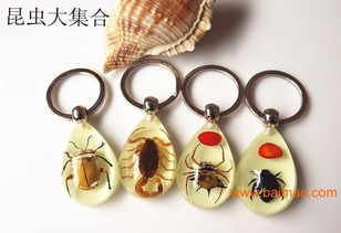 水晶 工藝 禮品廠,浙江 昆蟲 標本 飾品 鑰匙扣批發