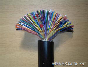 HYA53全塑鎧裝通信電纜 現代通訊網絡的堅固基石