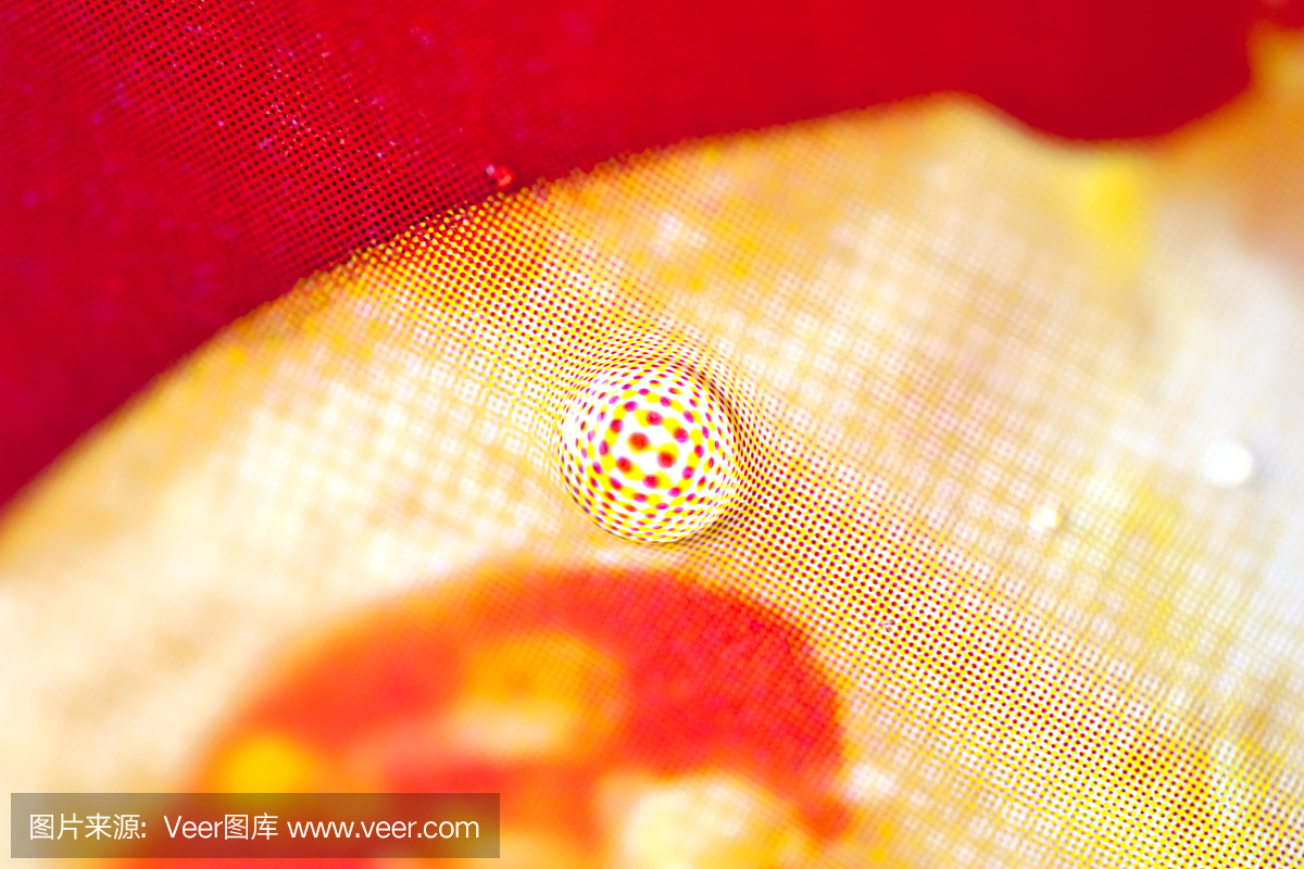 印刷在包裝上的特寫膠印