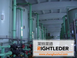 0.2噸/小時(shí)二級(jí)除鹽水設(shè)備 水資源專(zhuān)用機(jī)械設(shè)備制造與應(yīng)用